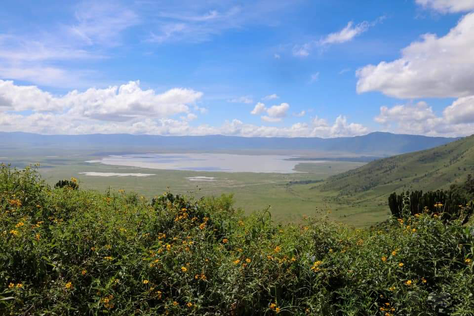 Tanzania Safari