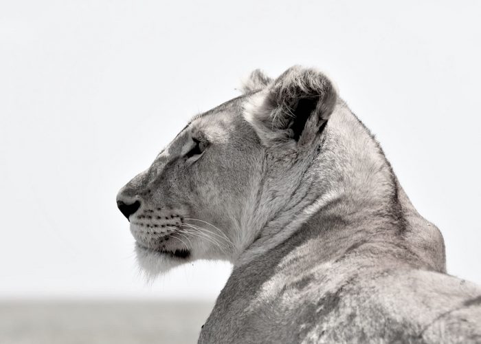 PHOTO-2021-10-25-22-16-59