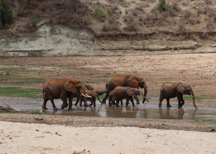 PHOTO-2022-11-27-15-20-53 (2)