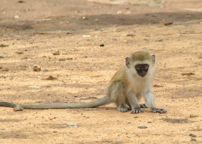 b1780485-d9fb-4d34-a353-7b5f08c1e02d