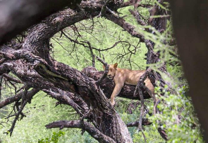 lake manyara np
