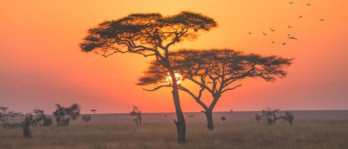 serengeti np